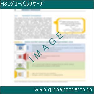 グローバルリサーチ調査レポートのイメージ